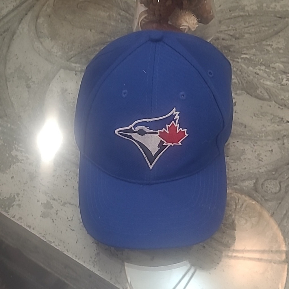 Toronto Blue Jay's men's Snapback one size